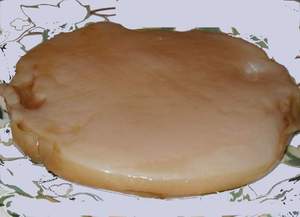 sejarah jamur dipo bin kombucha